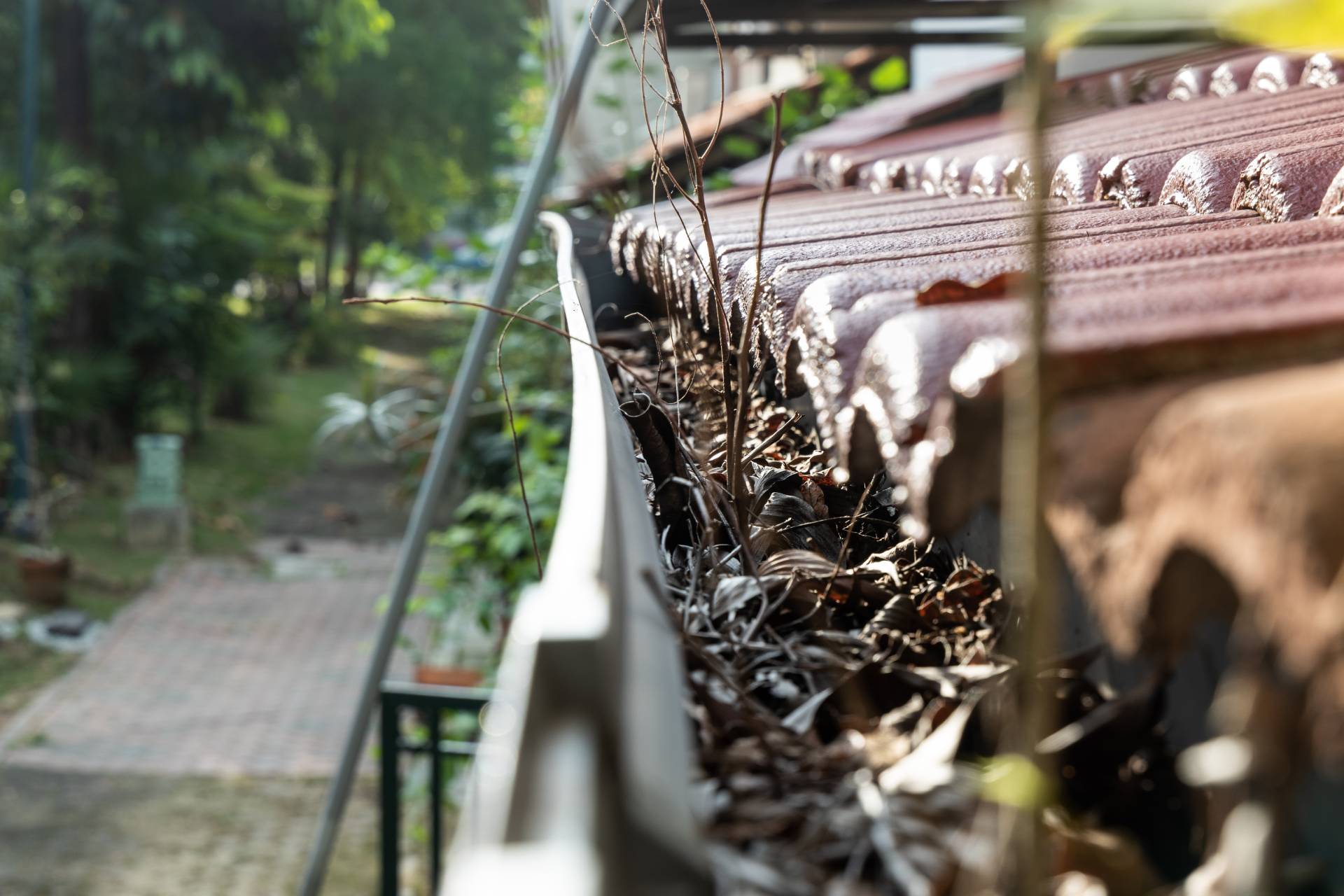 how clogged gutters get without leaf guards